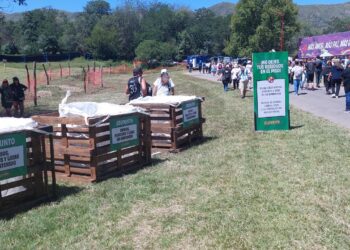 Hubo un 40 % de recuperación de residuos en el Cosquín Rock