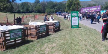 Hubo un 40 % de recuperación de residuos en el Cosquín Rock