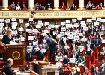 Fracasa el intento de bloqueo y queda aprobada en Francia la reforma jubilatoria de Macron