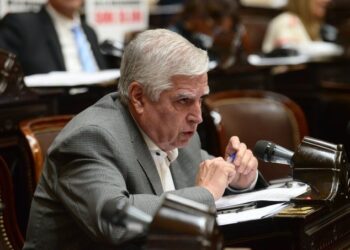 La Anses transfirió a la Caja apenas el 17% de lo adeudado