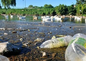 Sobreseyeron a Ramón Mestre en la causa por contaminación ambiental de la planta Bajo Grande