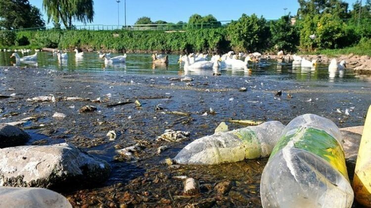 Sobreseyeron a Ramón Mestre en la causa por contaminación ambiental de la planta Bajo Grande