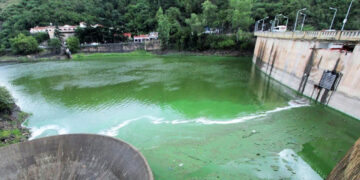 Un informe de la UNC y la Conae advierte sobre el gran impacto de las algas en el San Roque