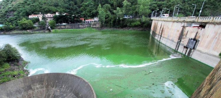 Un informe de la UNC y la Conae advierte sobre el gran impacto de las algas en el San Roque