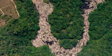 Las urgentes agendas ambientales de América Latina