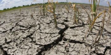 Por la sequía, los ingresos fiscales caerán hasta un 1% del PBI