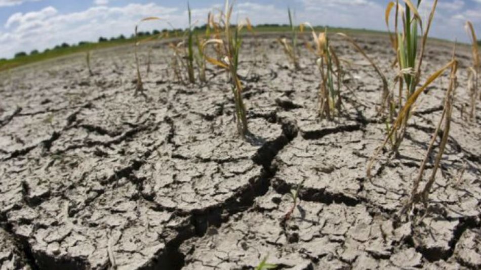 Por la sequía, los ingresos fiscales caerán hasta un 1% del PBI