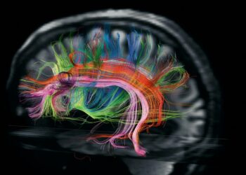 Descubren las alteraciones del neurodesarrollo que generan  depresión, ansiedad y estrés