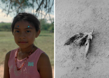 Un fotógrafo argentino ganó en la categoría “medio ambiente” de un prestigioso certamen internacional