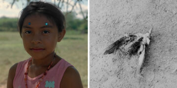 Un fotógrafo argentino ganó en la categoría “medio ambiente” de un prestigioso certamen internacional