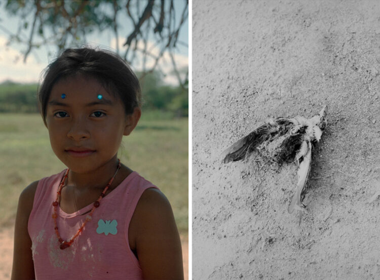 Un fotógrafo argentino ganó en la categoría “medio ambiente” de un prestigioso certamen internacional