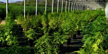 Destacan la mirada industrial de Argentina que posiciona al país a la «vanguardia»