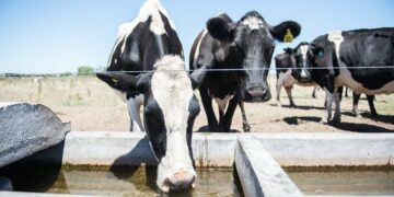 La Región Centro solicitó a Nación que la lechería sea declarada economía regional