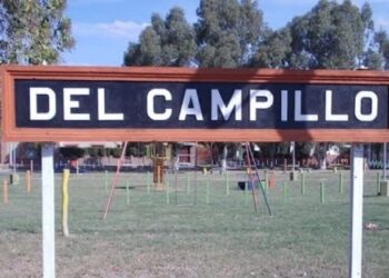 La Afip incautó centeno valuado en 4.000.000 de pesos en el sur de la provincia