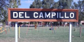 La Afip incautó centeno valuado en 4.000.000 de pesos en el sur de la provincia