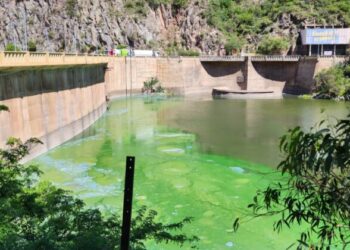 Ordenan la elaboración de un plan de saneamiento para el Lago San Roque