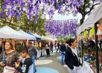 Conocé el “Paseo Sucucactuseando”, un tesoro escondido para los amantes de las plantas