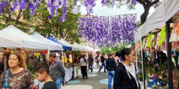 Conocé el “Paseo Sucucactuseando”, un tesoro escondido para los amantes de las plantas