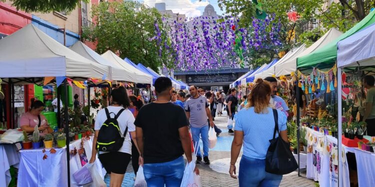 Conocé el “Paseo Sucucactuseando”, un tesoro escondido para los amantes de las plantas