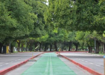 Suman mil metros de ciclovía sobre la Av. Nore Martínez y así luce ahora