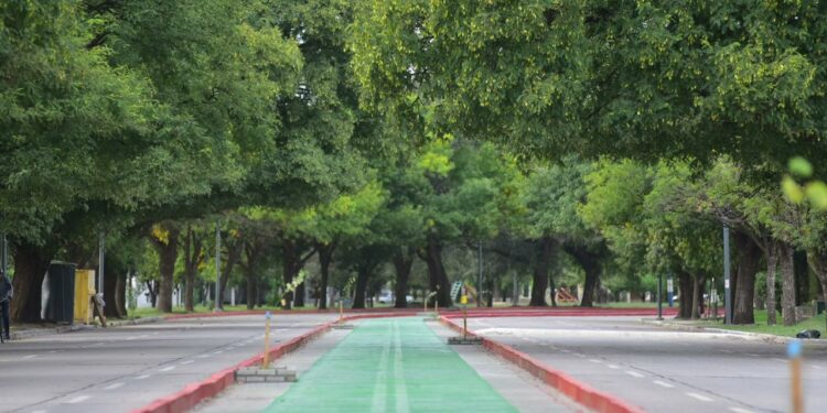 Suman mil metros de ciclovía sobre la Av. Nore Martínez y así luce ahora
