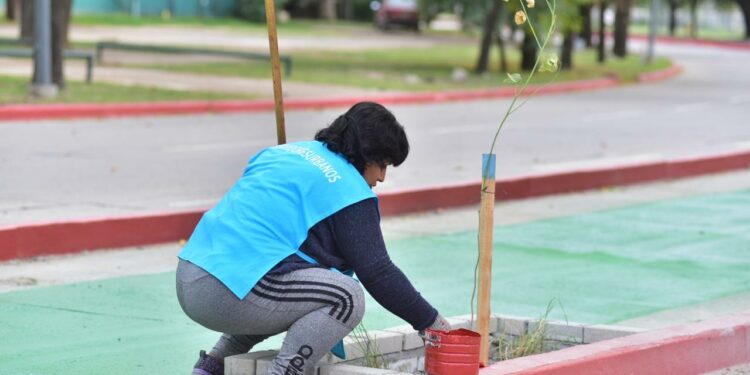 Suman mil metros de ciclovía sobre la Av. Nore Martínez y así luce ahora