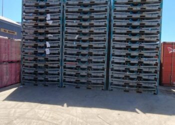 La Aduana aplicó una multa millonaria a una automotriz por irregularidades en la importación