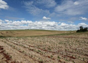 Por la sequía, el ingreso de dólares de la agroindustria cayó a niveles récord