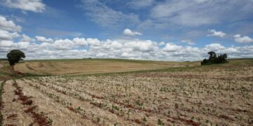 Por la sequía, el ingreso de dólares de la agroindustria cayó a niveles récord