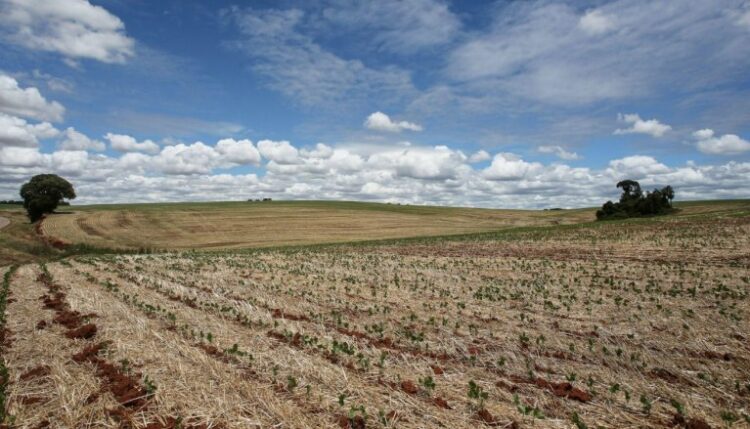 Por la sequía, el ingreso de dólares de la agroindustria cayó a niveles récord