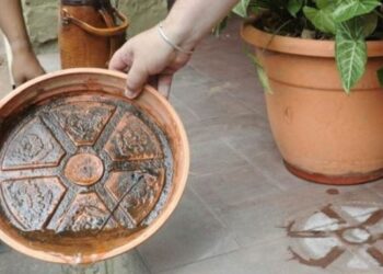 Eliminar los criaderos de mosquitos y no automedicarse, entre las claves contra el dengue