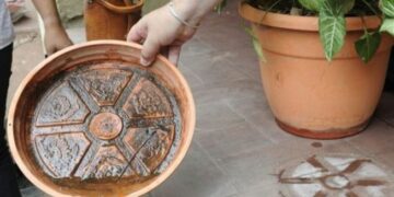 Eliminar los criaderos de mosquitos y no automedicarse, entre las claves contra el dengue