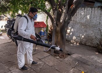 La Provincia concreta unos 340 «bloqueos de focos» contra el dengue