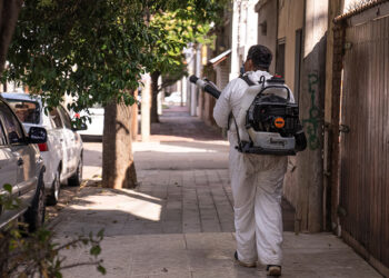 Dengue en Córdoba: los casos suben a 4.426 en la temporada
