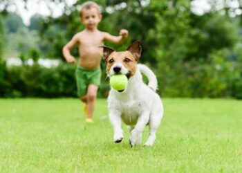 Los beneficios de las mascotas en el aprendizaje de los niños