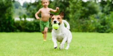 Los beneficios de las mascotas en el aprendizaje de los niños