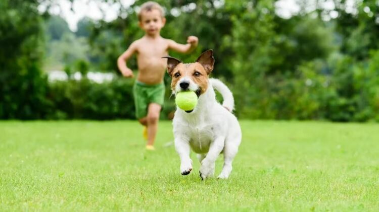 Los beneficios de las mascotas en el aprendizaje de los niños