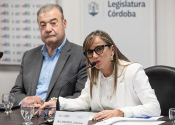 Comenzó el tratamiento de la ley de equipos de Salud