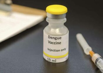 Cuáles son los tipos de vacunas contra el dengue disponibles en Argentina