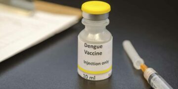 Cuáles son los tipos de vacunas contra el dengue disponibles en Argentina