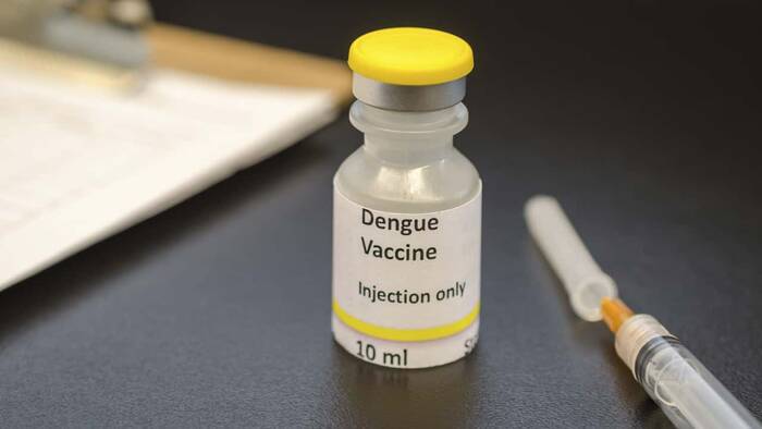 Cuáles son los tipos de vacunas contra el dengue disponibles en Argentina