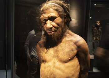 Los neandertales influyeron en la apariencia de los latinoamericanos, según estudio