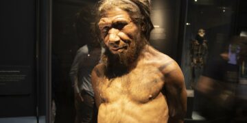 Los neandertales influyeron en la apariencia de los latinoamericanos, según estudio