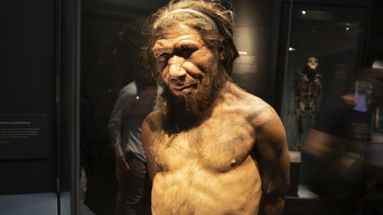 Los neandertales influyeron en la apariencia de los latinoamericanos, según estudio