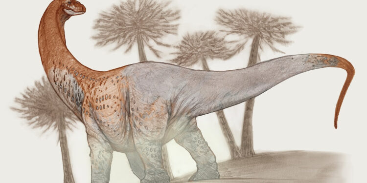 Descubren una nueva especie de dinosaurio gigante de 90 millones de años en Río Negro