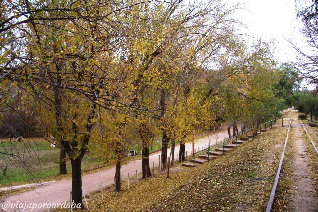 Con colores ocres y radiantes, estos son los lugares cordobeses más idóneos para pasear en otoño