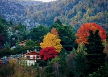 Con colores ocres y radiantes, estos son los lugares cordobeses más idóneos para pasear en otoño