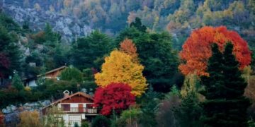 Con colores ocres y radiantes, estos son los lugares cordobeses más idóneos para pasear en otoño