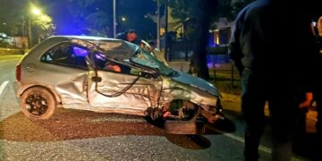 Impresionante choque contra un árbol en la Octavio Pinto