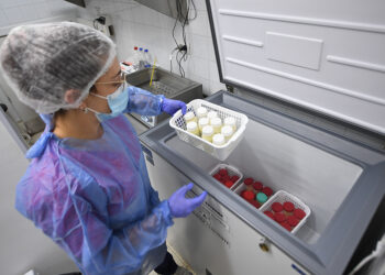 Mujeres de Córdoba donan semanalmente su leche para nutrir a bebés de la región